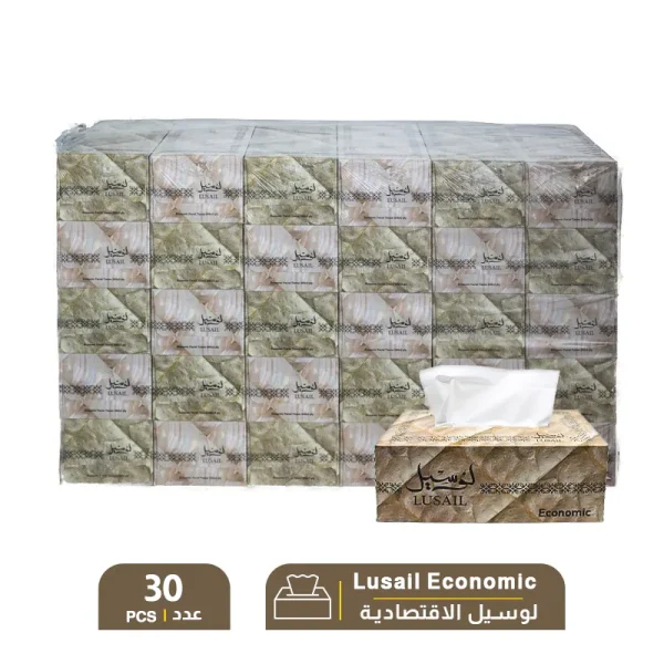 Lusail Economic Facial Tissue – 1 Pack X 30 PCS