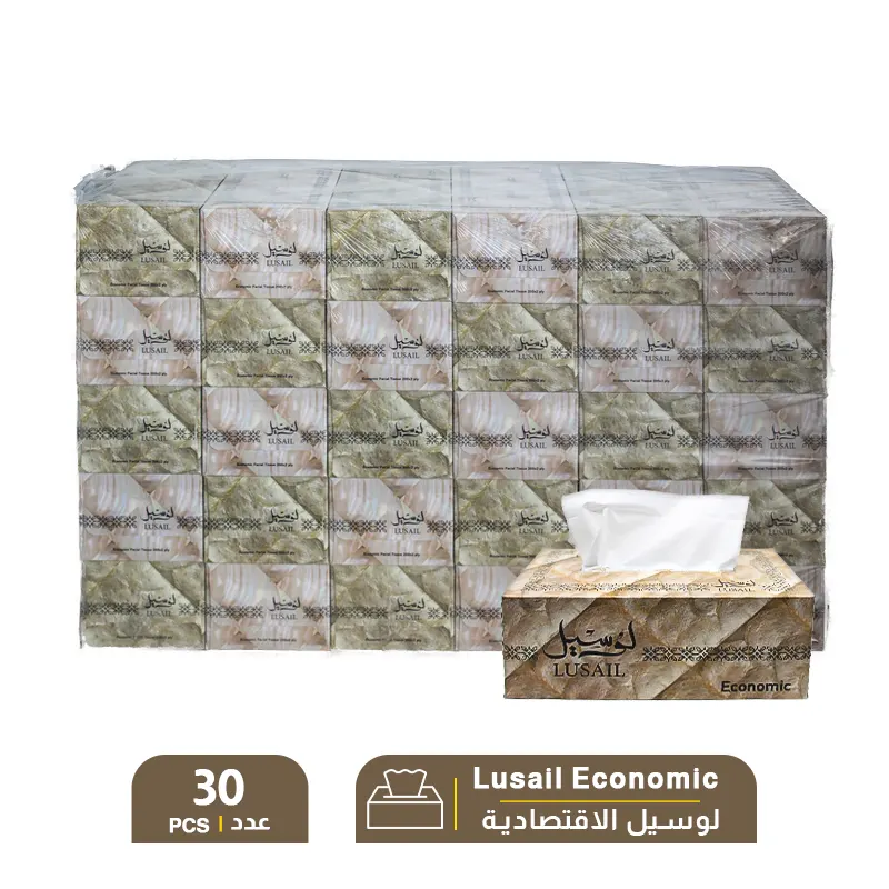 Lusail-Economic-Facial-Tissue-–-1-Pack-X-30-PCS.webp Lusail Economic Facial Tissue – 1 Pack X 30 PCS - Image 1
